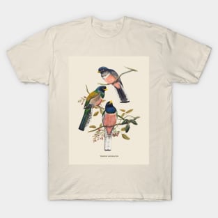 Blue-crowned Trogon Antique Naturalist Illustration T-Shirt